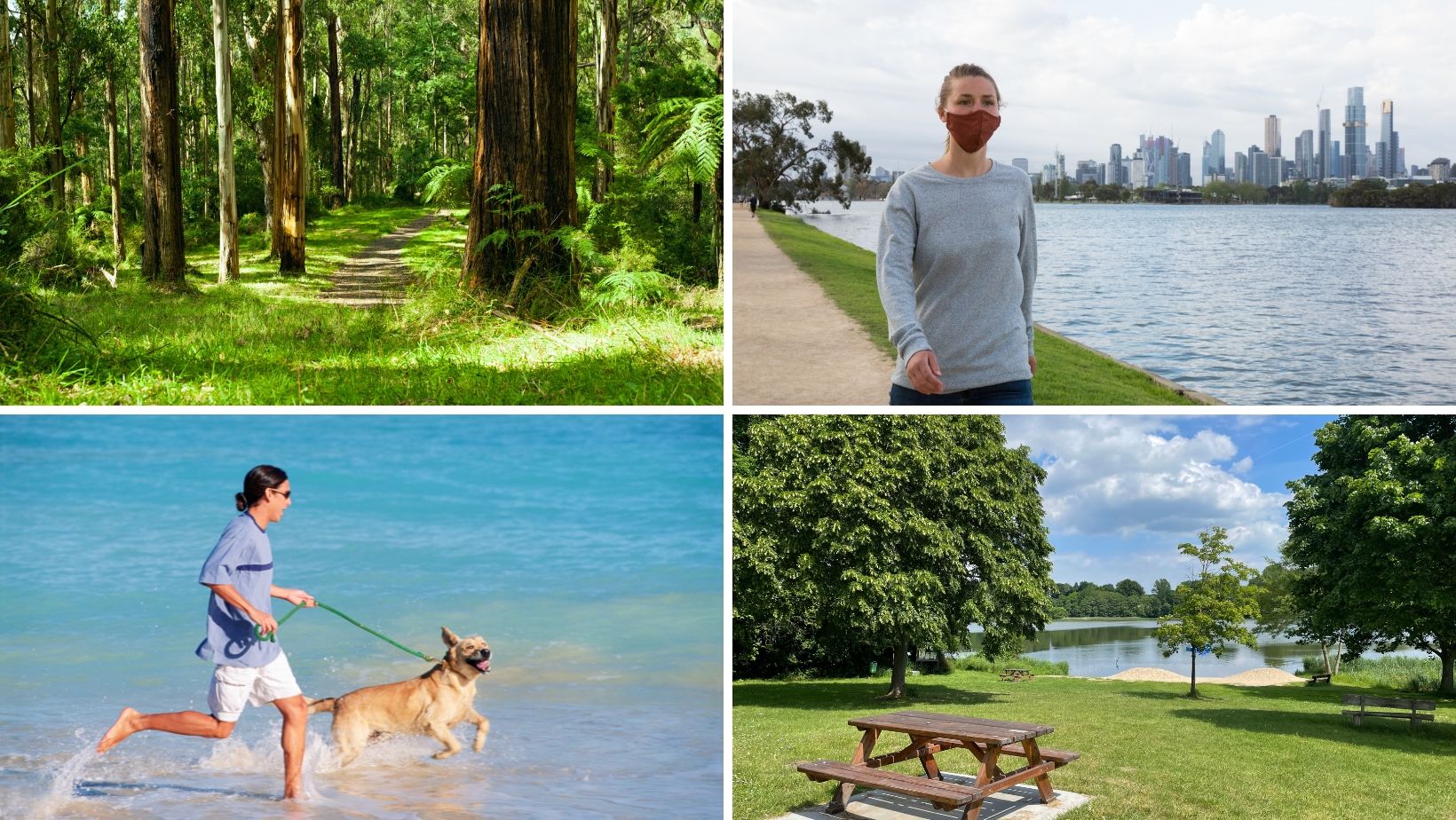 Exploring Melbourne's Dog Parks