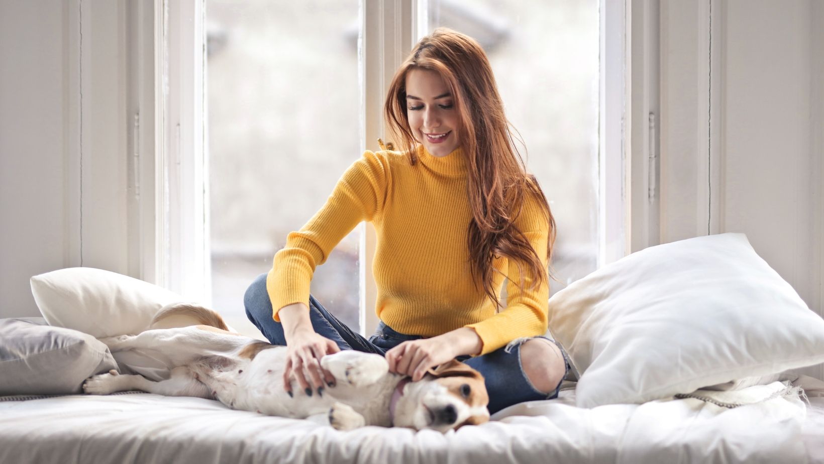 A woman massaging her pet dog