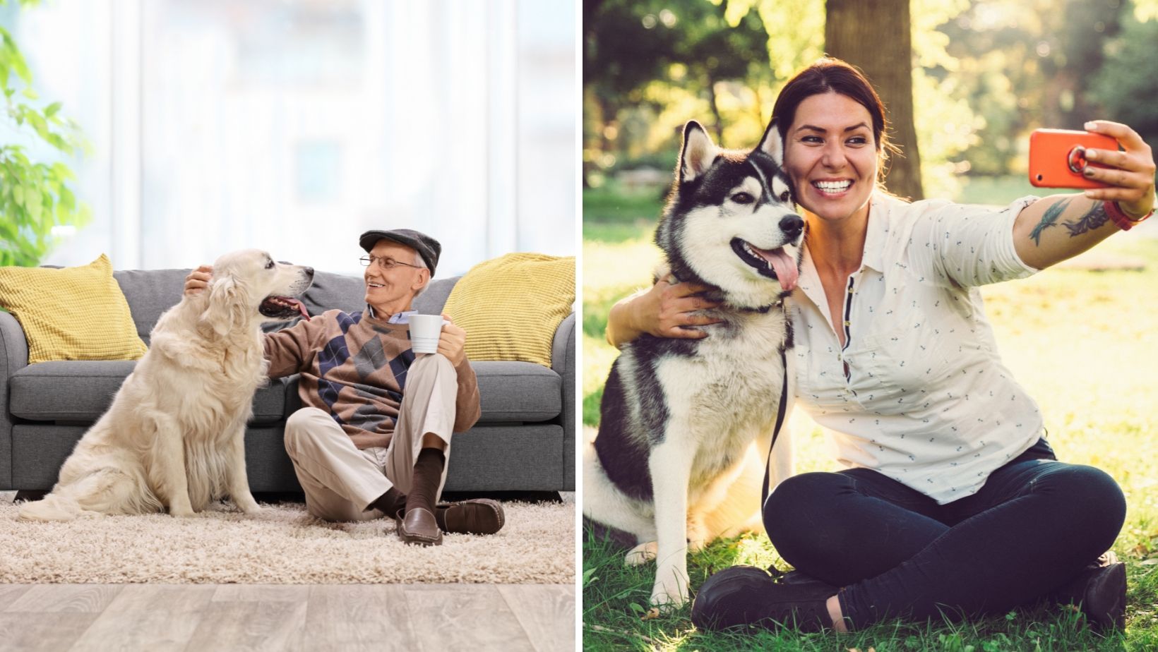 A man is dog sitting a dog at home while a woman is dog sitting a dog outdoors