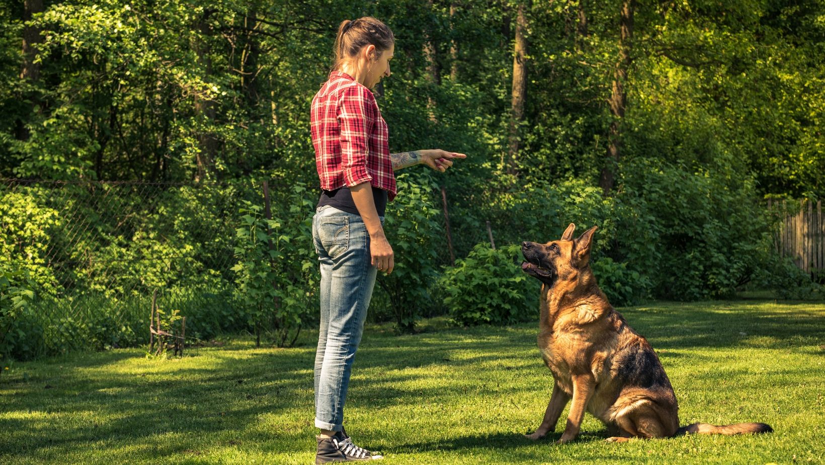 A woman training a dog