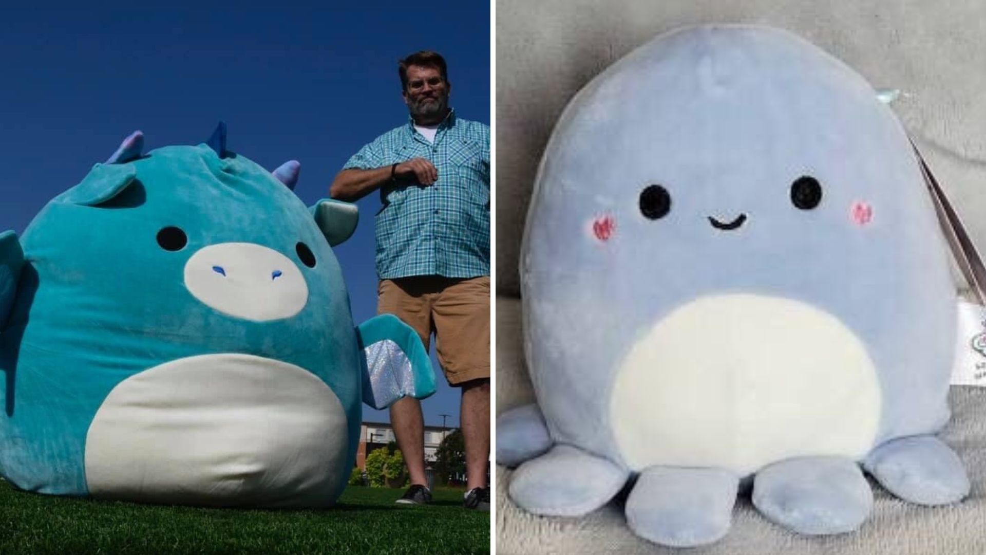 Two types of squishmallows.