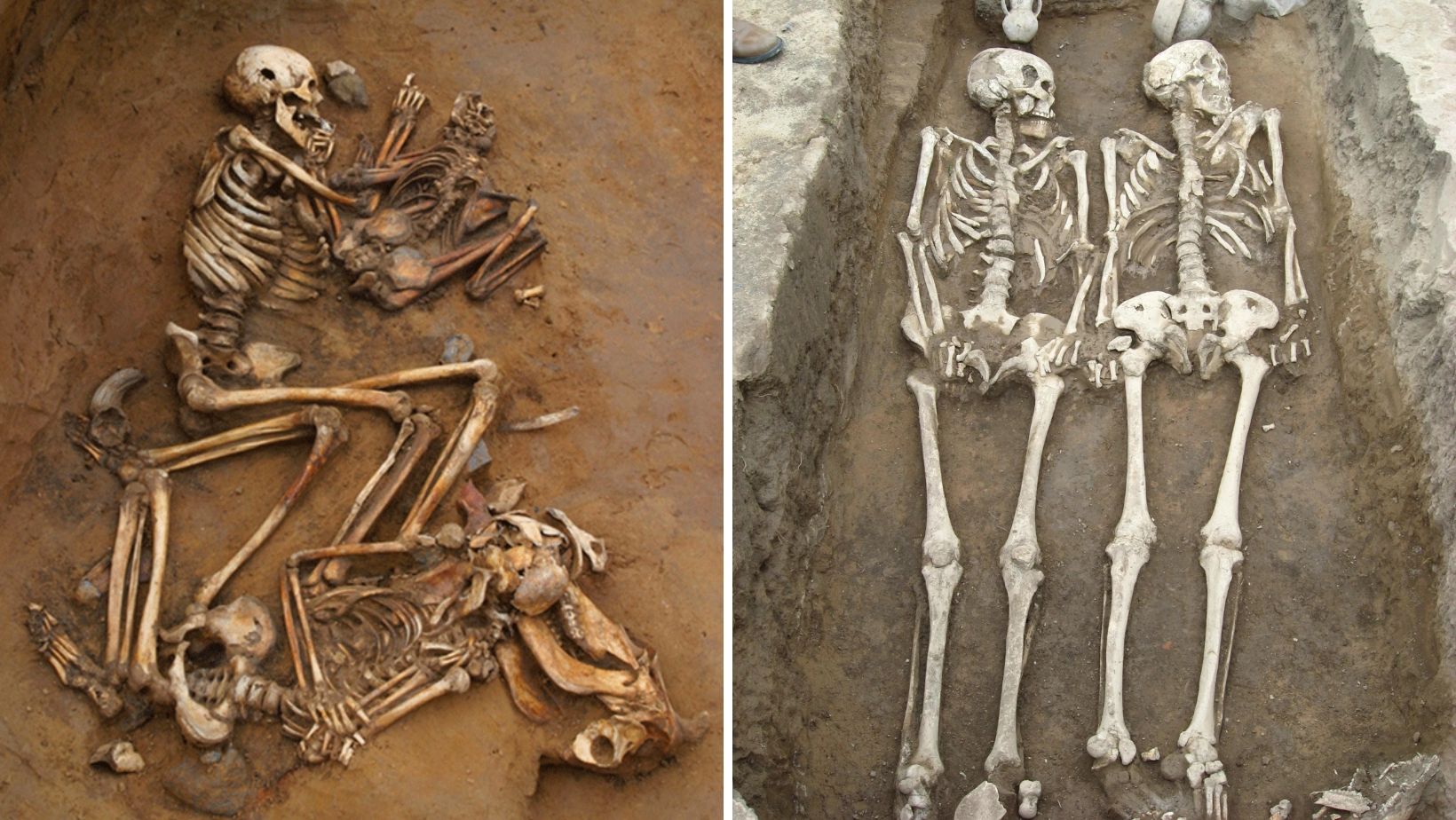 Skeleton ancient bones.