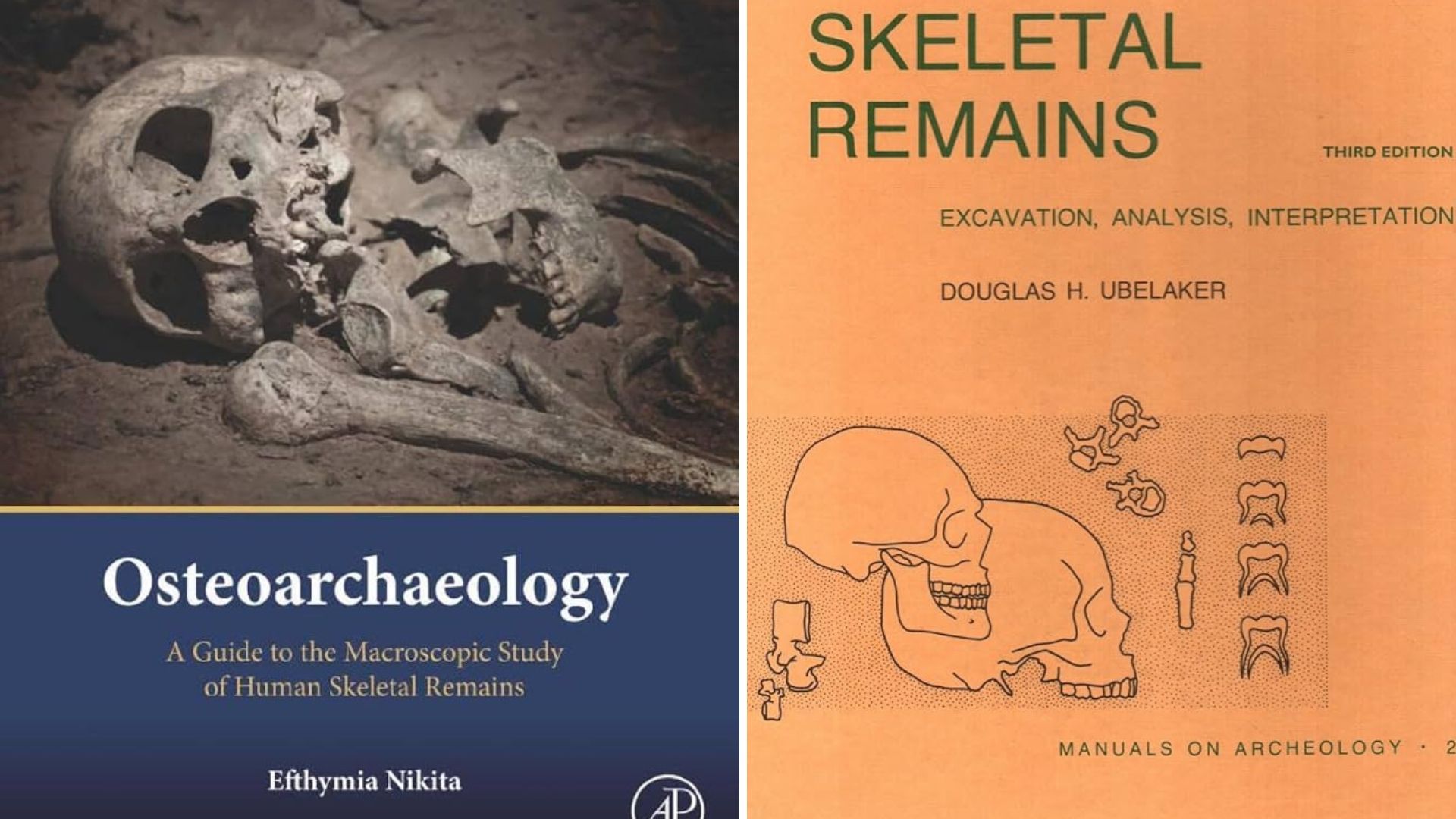 Osteoarchaeology books.