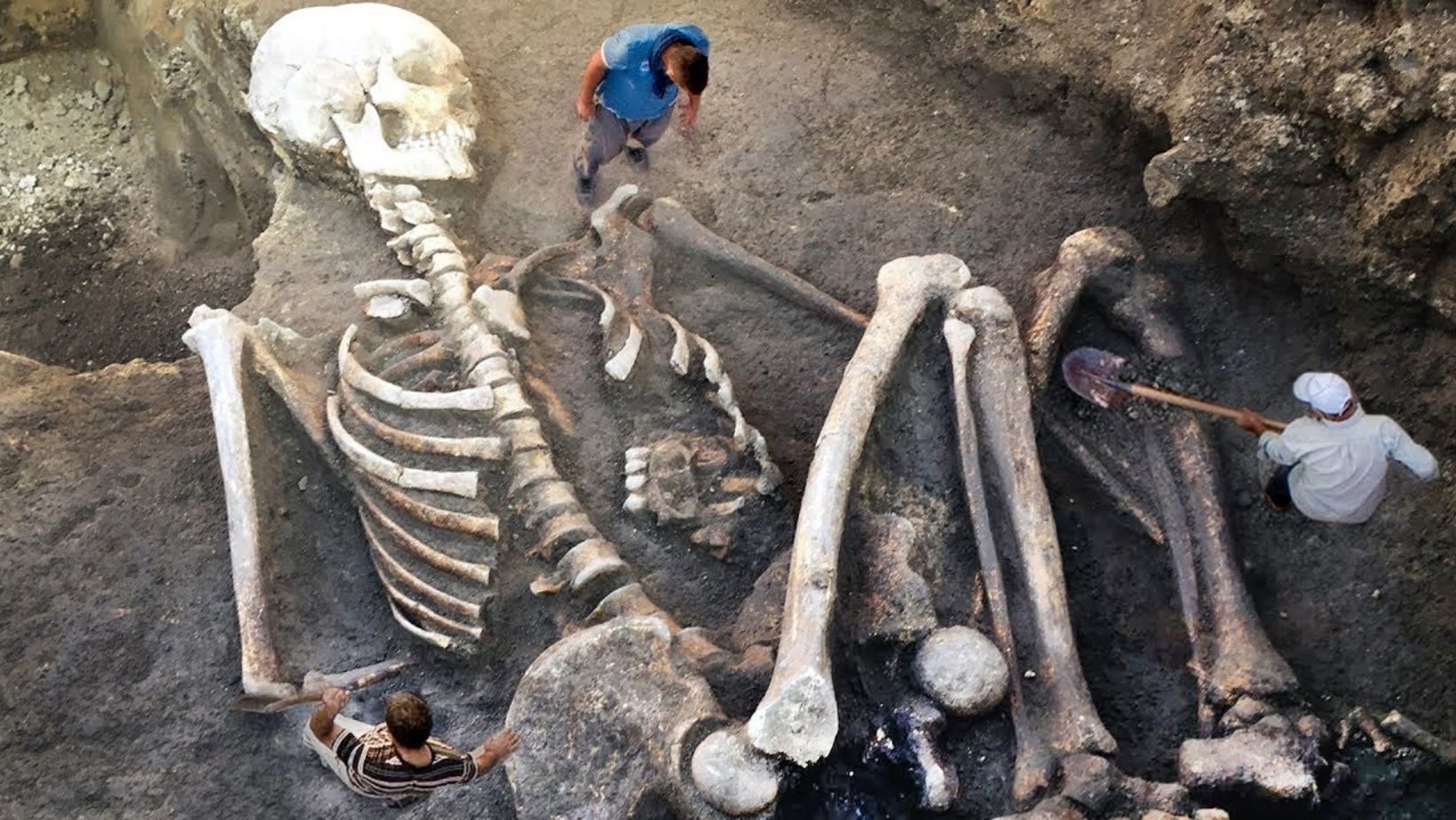 Giants skeleton.