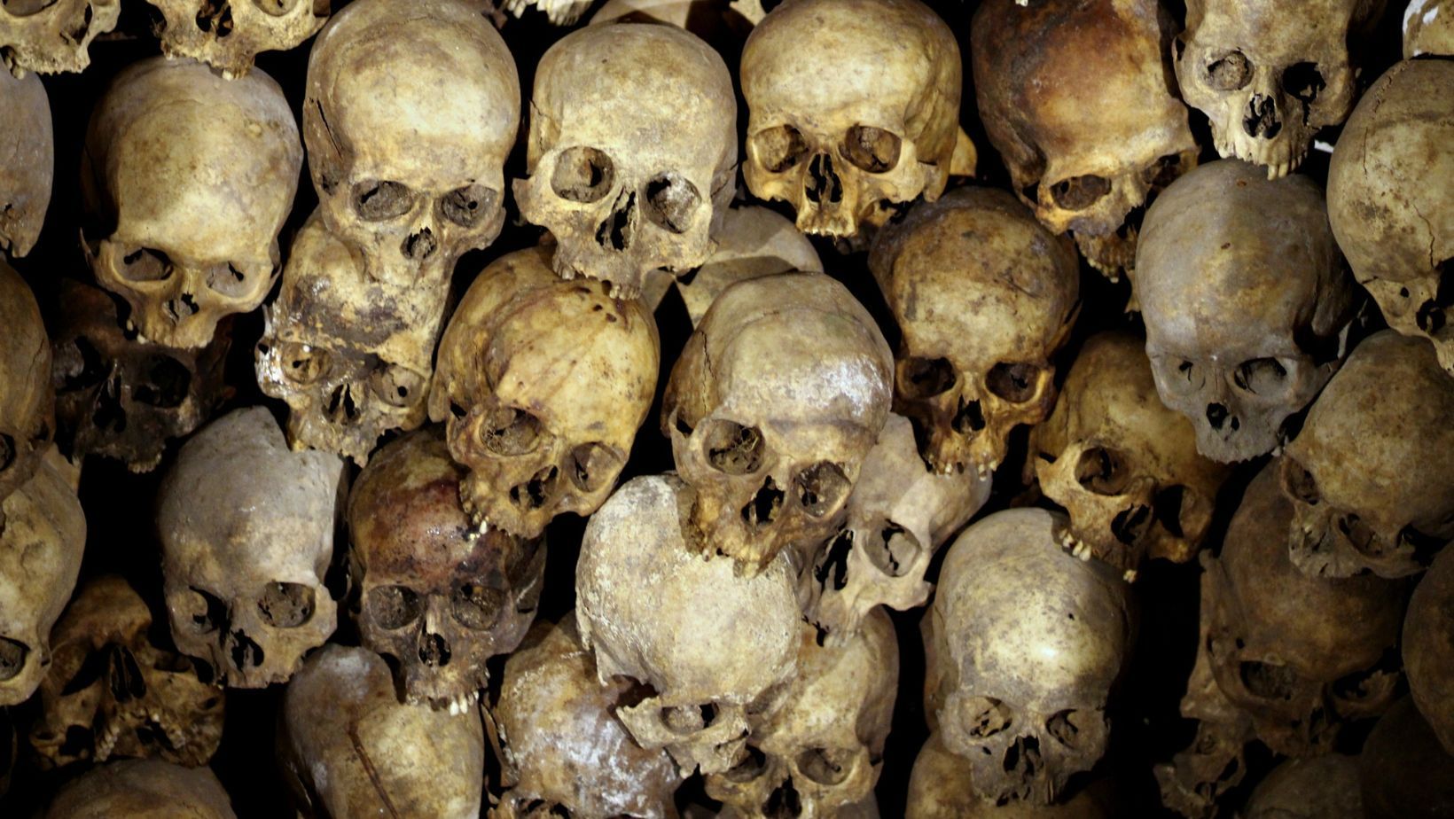 An image of Skulls.
