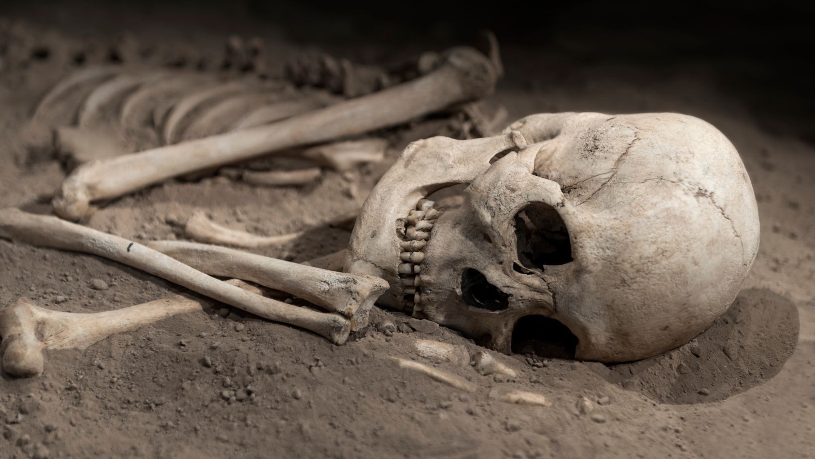 An image of skeleton remains.