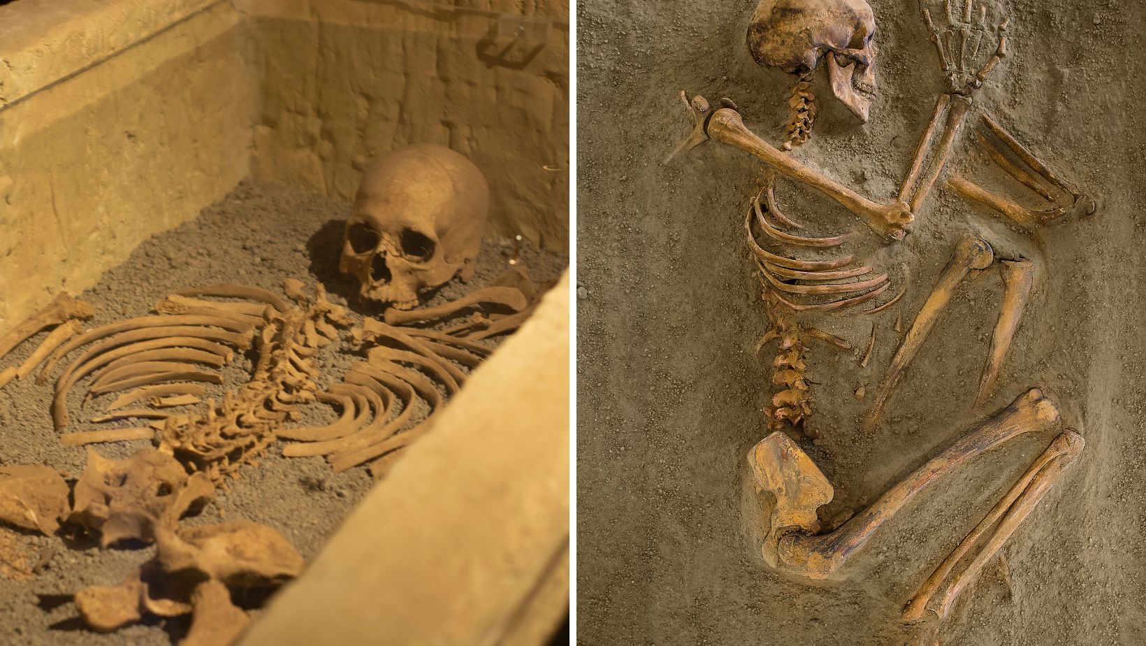 Two images of two skeletons.