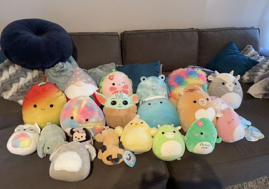 Variety of squishmallows.