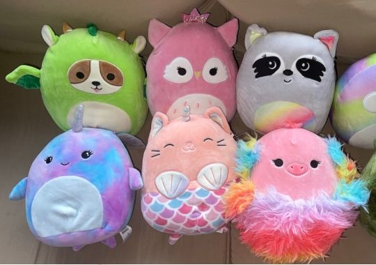 Different types of squishmallows.