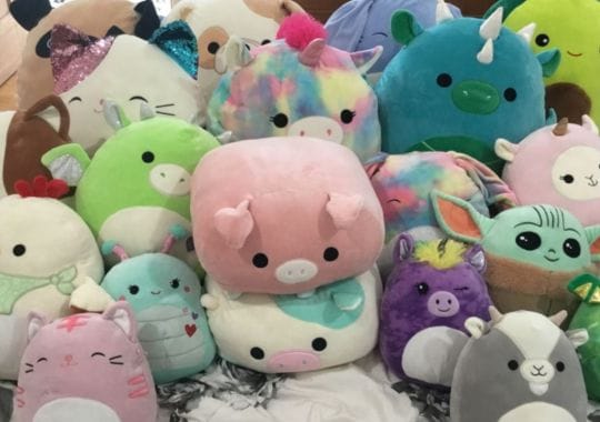 Different types of Squishmallows.