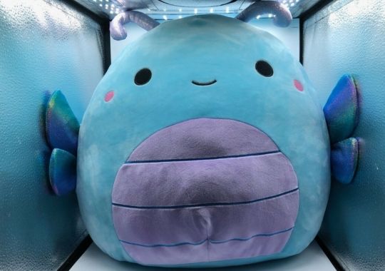 A large Squishmallow.