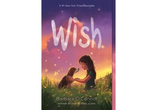 Wish-by-Barbara-O-Connor