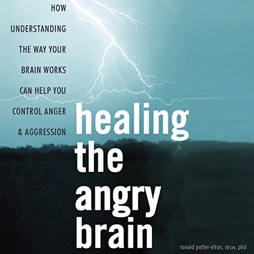 Healing-the-Angry-Brain