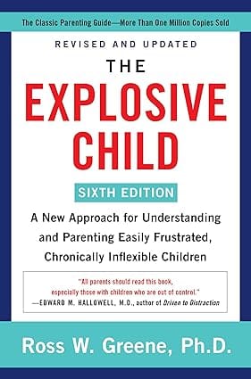 The-Explosive-Child