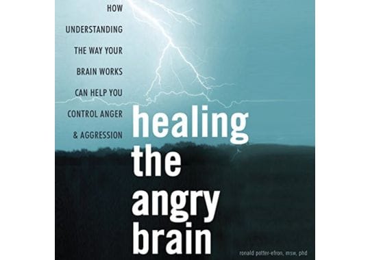 Healing-the-Angry-Brain:-by-Ronald-Potter-Efron-MSW-PhD