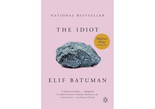 The-Idiot-by-Elif-Batuman