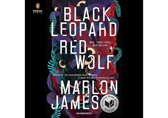Black-Leopard,-Red-Wolf-by-Marlon-James
