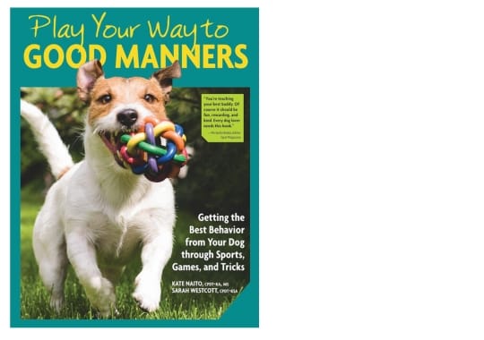 Play-Your-Way-to-Good-Manners
