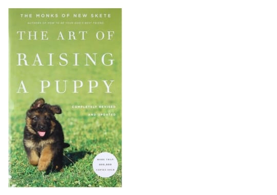 The-Art-of-Raising-a-Puppy