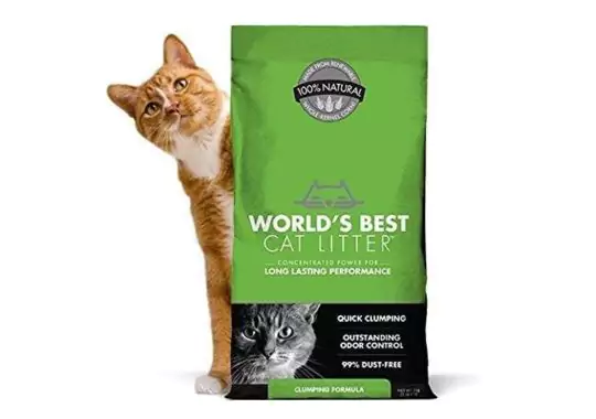 World-Best-Cat-Litter