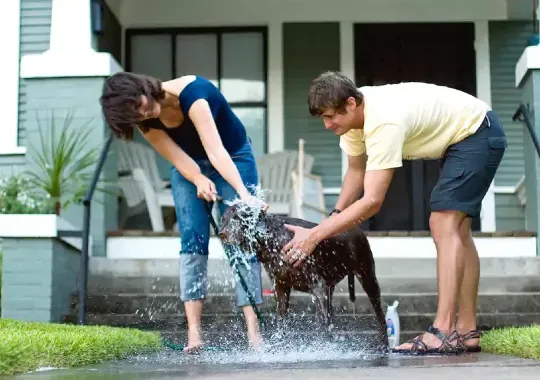 A man and a woman washing a dog.