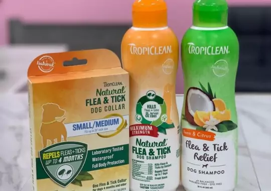 TropiClean Natural Flea and Tick Maximum Strength Shampoo.