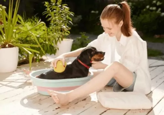 A lady bathing a dog in a tab.