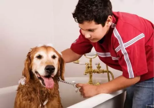 A boy bathing a dog in a tab.